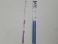 20180615_155204.jpg