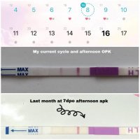 tests.jpg tests.jpg