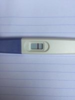6AC69727-A30E-49F2-B07E-072C25DB7BE7.jpg