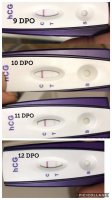 ADE4D69A-05F4-4560-B687-F142E9935DA4.jpg
