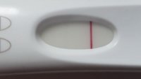 20180701_144708.jpg