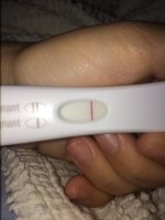 preg test 2.jpg