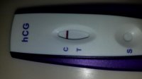 20180803_073331.jpg
