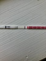 C01C5E6A-4A27-4D24-91A0-035A2CDFC7CB.jpg