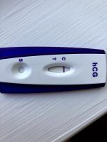 FC12FD48-CBCA-4587-9173-9D32FBAE9244.jpg