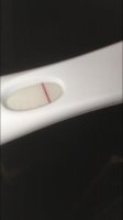 test.jpg