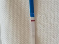 20180811_100615.jpg