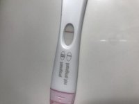 545DEC72-C22A-4A19-A16E-14996CC0AE63.jpg