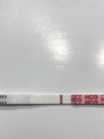 4BC8BB84-DD78-472B-B305-9397F79192B6.jpg