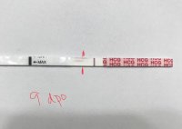 461CD485-76E1-49B9-8DB3-5A62B83BBF28.jpg