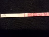 aug hpt 11dpo.jpg