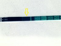 CP test2.jpg