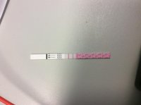 63426B99-C602-44BD-BD48-CE6750FBBC09.jpg