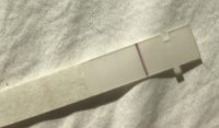Test.jpg