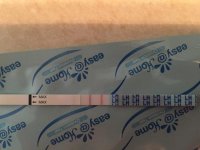 fullsizeoutput_1ae3.jpg