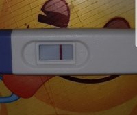 Screenshot_20180911-013312_Gallery.jpg