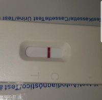 Screenshot_20180913-221609_Gallery.jpg