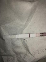 C8E84EB8-77BB-424C-8309-52D9BF990A96.jpg