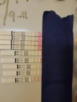 opk1.jpg