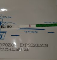 Screenshot_20181006-172546_Gallery.jpg