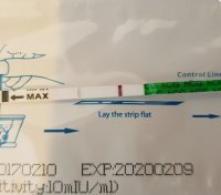 Screenshot_20181006-172556_Gallery.jpg