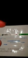 20181009_221512.jpg