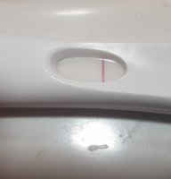 20181013_071931.jpg