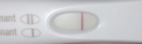 EE351334-3F7C-420E-91AD-BE3EBA39302F.jpeg
