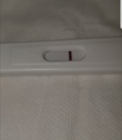 Screenshot_20181014-091217_Gallery.jpg