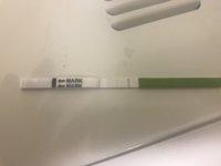 66B88665-4E13-42DF-B97E-FB71E3BF16AD.jpeg