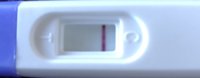 04BD6EF3-5A04-4521-AB3C-B46059D96D9F.jpeg
