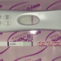 D43AA2C5-9650-42F2-B015-D4411D1E27D5.jpeg