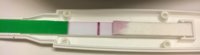 86129BF0-F0D5-4B51-8C5C-D56DC8557B1B.jpeg