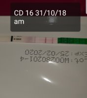 Screenshot_20181031-085852_Gallery.jpg