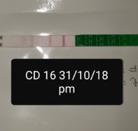 Screenshot_20181031-175934_Gallery.jpg