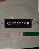 Screenshot_20181102-090335_Gallery.jpg