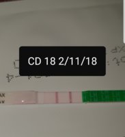 Screenshot_20181102-090424_Gallery.jpg