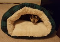 20181104_101249.jpg