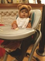 Kai_bear_high-chair2.jpg