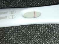 IMG_20181109_084616533.jpg
