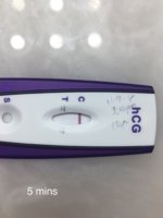 B0831C00-D005-4D05-B462-64C2C4B022C9.jpeg