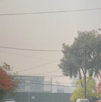 166A51A0-9EC0-473B-8F9C-8DF804B39F01.jpeg