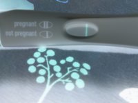 Negative Image_1b66f266-a0c3-43ca-bce9-02aa00377571.jpg