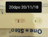 Screenshot_20181120-134256_Gallery.jpg