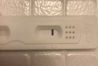 73E0827C-71B7-498B-8CFB-151FC3249388.jpeg