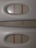 20181121_052930.jpg