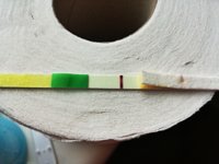 rps20181121_161559.jpg