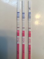D2A18076-0D5A-40E7-9838-DC722D50F930.jpeg