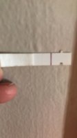 AD8968B8-9099-4721-A32E-DF43AD06EC88.jpeg