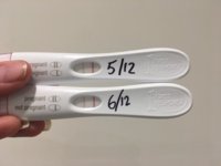 E0864558-87FF-4D6F-90B2-F370E81FA68E.jpeg